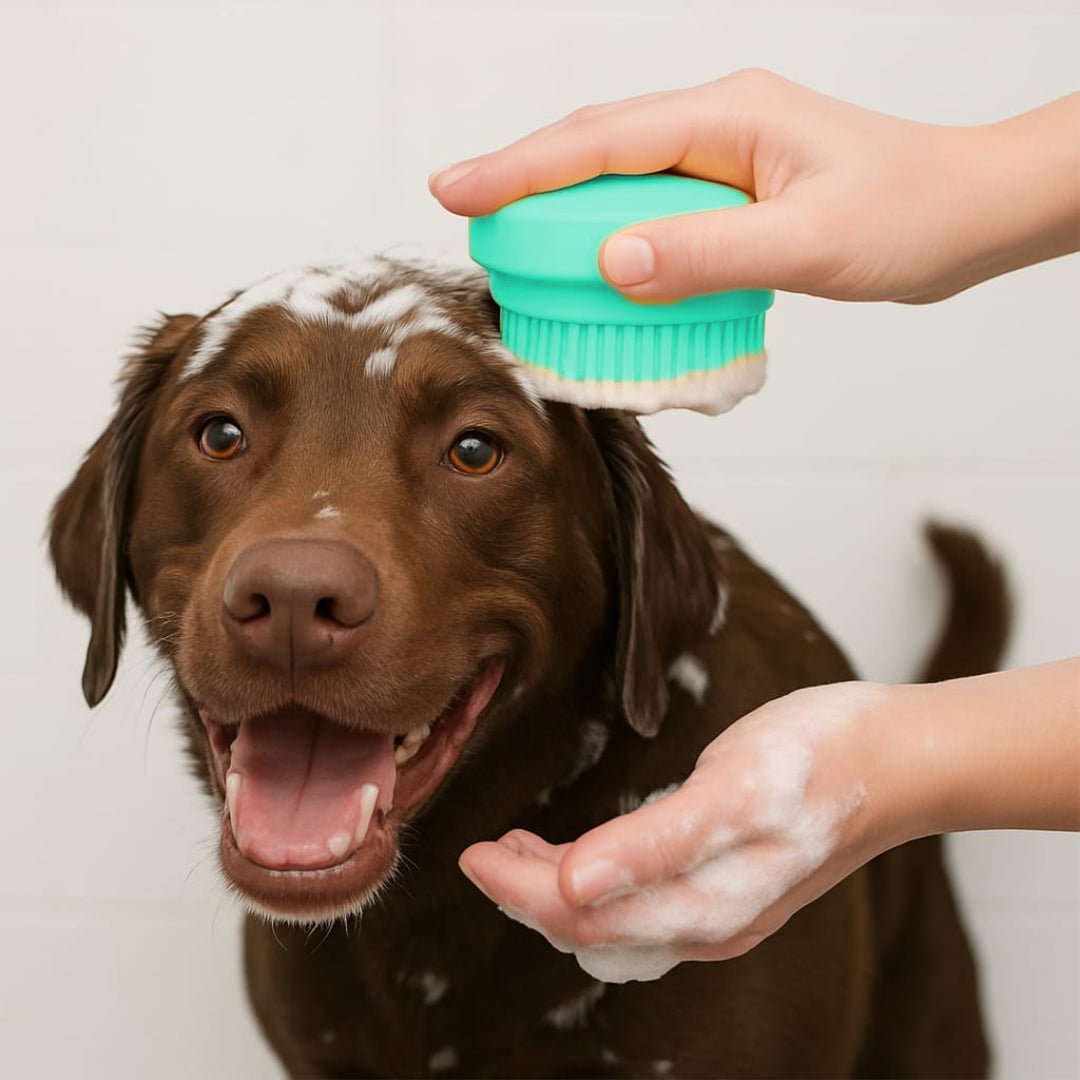 BATH BUDDY - Spazzola 2 - in - 1 in silicone per il bagno - Petnity Store