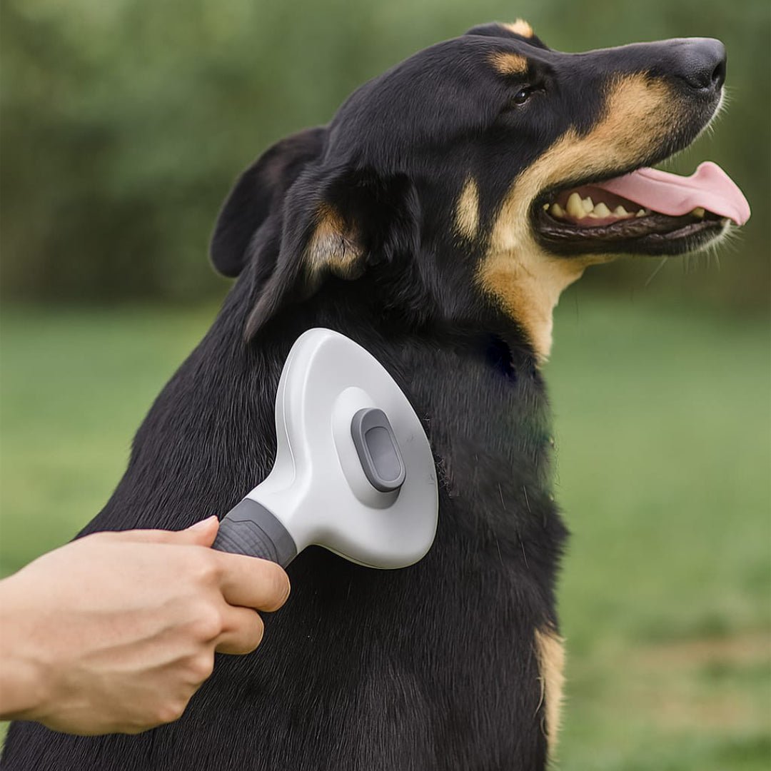 BRUSHIE - Spazzola auto - pulente per cani e gatti - Petnity Store