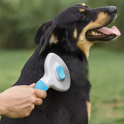 BRUSHIE - Spazzola auto - pulente per cani e gatti - Petnity Store