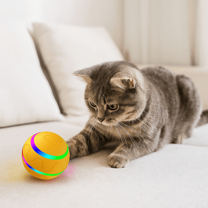 FURGY - Pallina Smart per cani e gatti - Petnity Store