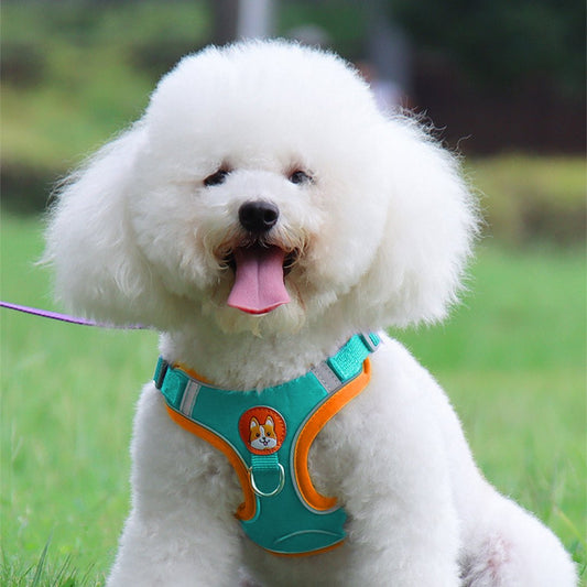 VESTIE - Pettorina regolabile per cani e gatti - Petnity Store