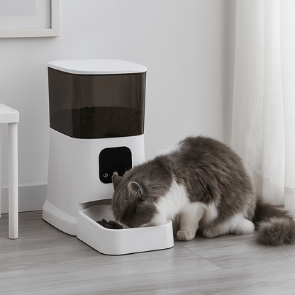 WIFEED - Dispenser automatico di cibo Wi - Fi per animali - Petnity Store